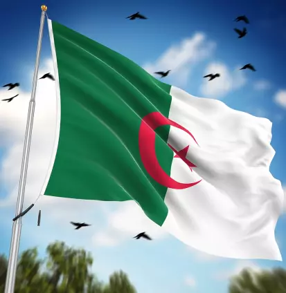 flag-algeria flag-algeria